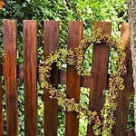Luxuszeit Zu Zweit By Interhome * Borchel