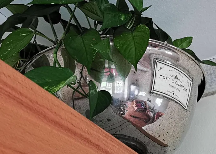 Luxuszeit Zu Zweit By Interhome 펜션 Borchel